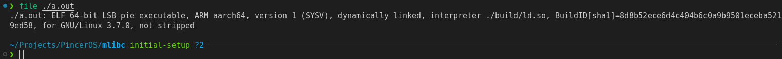 The output of running file a.out: a.out: ELF 64-bit LSB pie executable, ARM aarch64, version 1 (SYSV), dynamically linked, interpreter ./build/ld.so, for GNU/Linux 3.7.0, not stripped